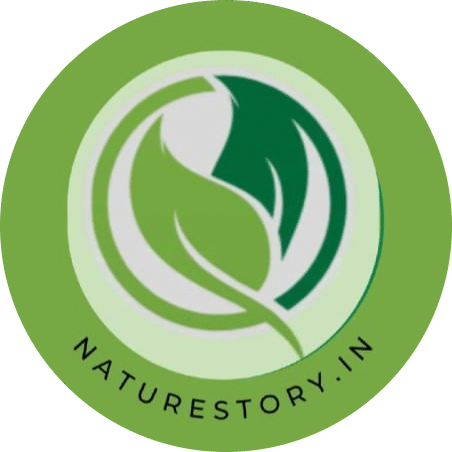 naturestory.in